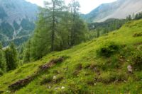 2015-07-03_Sonnjoch (234)b.JPG